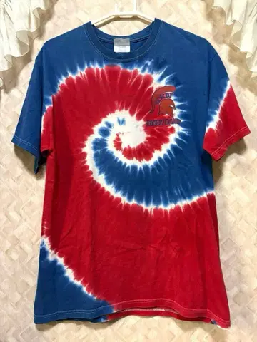 레어 90s 00s 당시 Hanes 타이다이 트리콜로르 USA 빈티지
