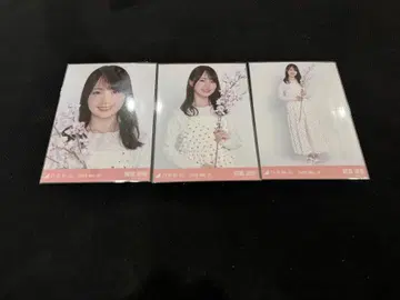 노기자카46 카키 하루카 벚꽃 컬러 코디 브로마이드 3종 컴프