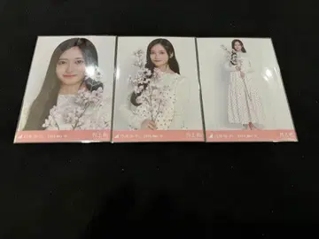 노기자카46 이노우에 나기 벚꽃 컬러 코디 브로마이드 3종 컴프