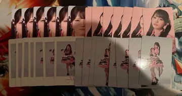 판타지 랜드 모나 트레이딩 카드 4종류 28장 묶음 판매