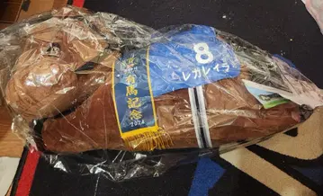 레가레이라 봉제 인형 A상
