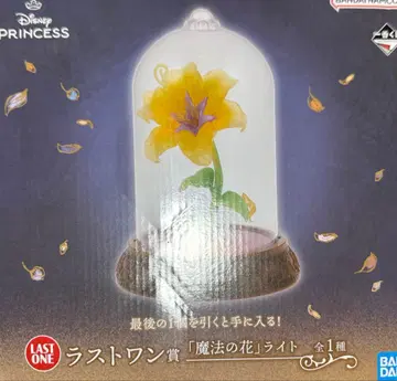 디즈니 프린세스 1번 복권 라스트 원 A상