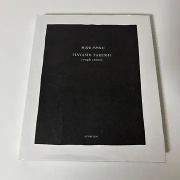 하야시 타케시 울퉁불퉁한 돌