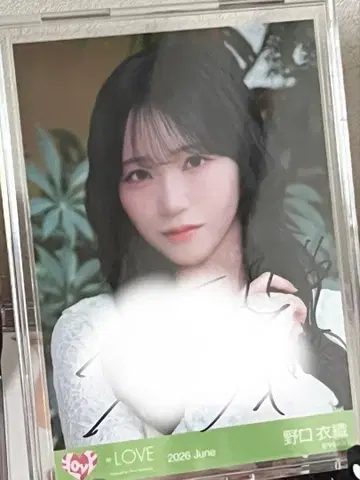 모라토리엄 노구치 이오리 친필 이코럽
