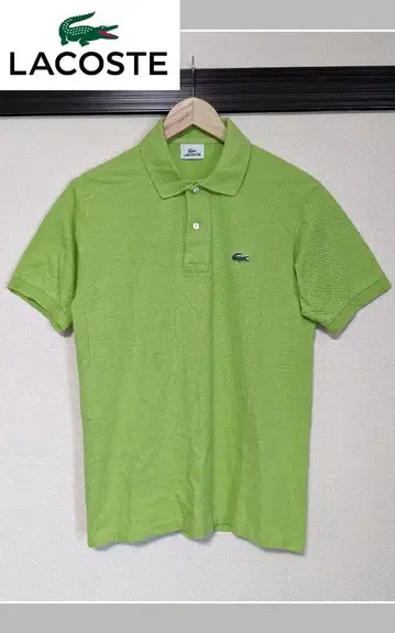 [ LACOSTE ] 반팔 피케 셔츠/무지/라이트 그린/로고/자수/일본제/새상품급