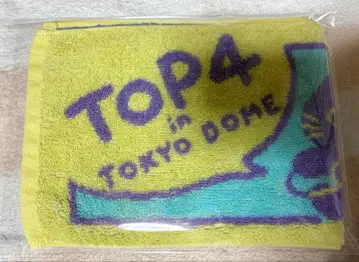 TOP4 in TOKYO DOME 2Days 머플러 타월