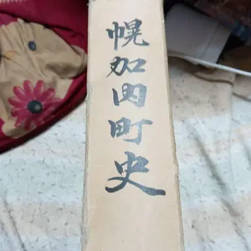 호로카나이정사