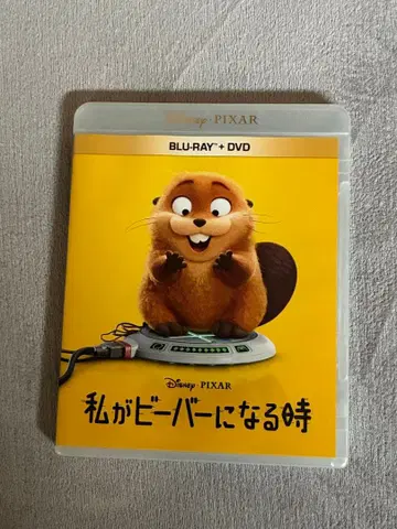 새상품급! 내가 비버가 될 때 DVD&블루레이 세트