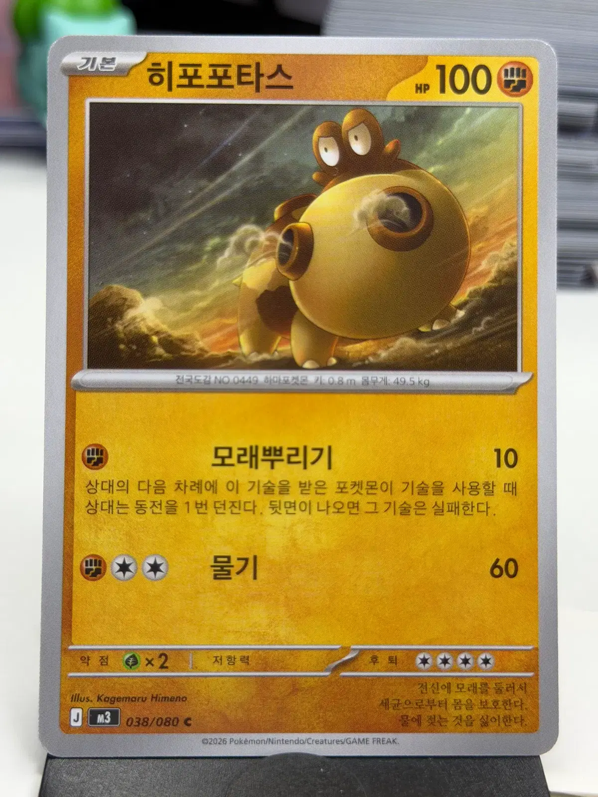 히포포타스 M3 038/080 C (300)원
