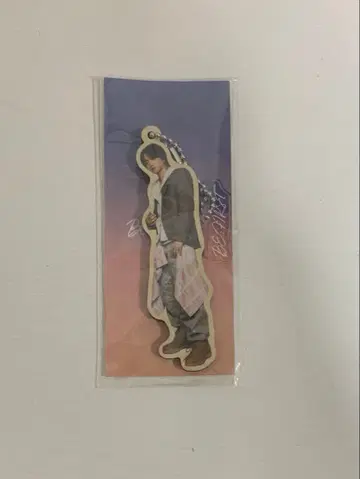 비파 Missing JUNON 액츄어 아크릴 참 키링
