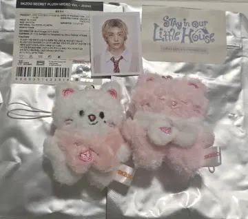 스키즈 팬미팅 진렛 마이크로 봉제 인형 ID 사진