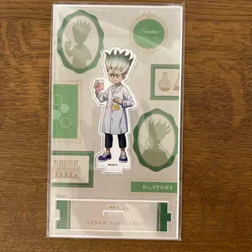 Dr.STONE 아크릴 스탠드 이시가미 센쿠
