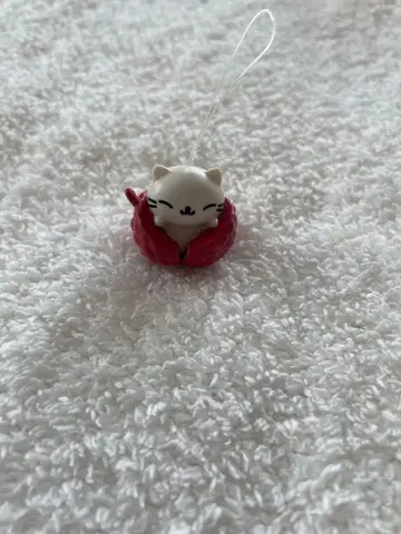 냥냥냥코