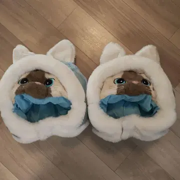 USJ 한정판 아일루 2세트
