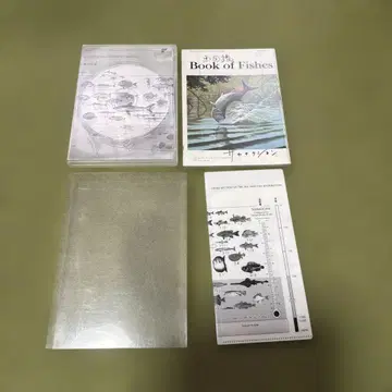 사카낙션 어도감