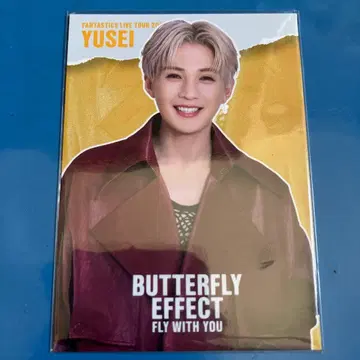 즉시 구매 BUTTERFLY EFFECT 야기 유세이 포토 카드 시크릿 !