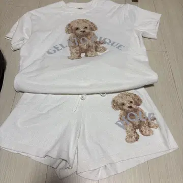 gelato pique 토이 푸들 패턴 룸웨어 상하의 세트