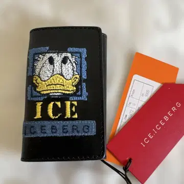 ICEBERG 아이스버그 Disney 도날드 키케이스 하자 있음