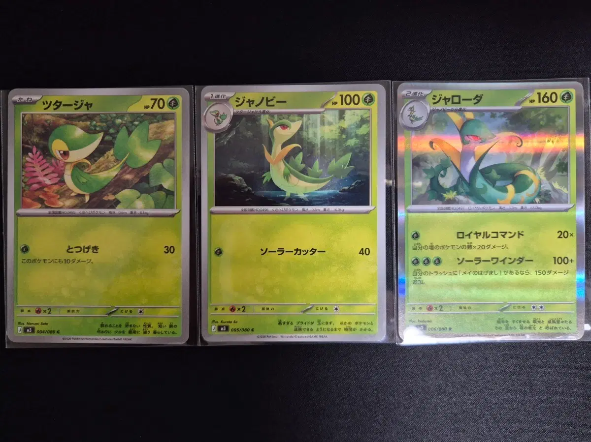 일본판 포켓몬 TCG 주리비얀 샤비 샤로다 진화 세트