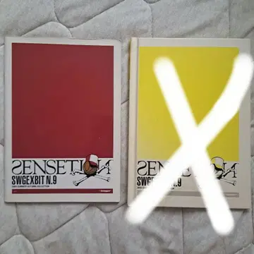 초레어 SWAGGER 2003 SA 카탈로그 SENSETION 2권 세트