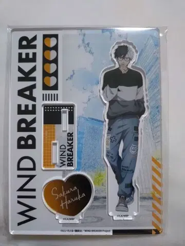 WIND BREAKER Glasses 아크릴 스탠드 사쿠라 하루카