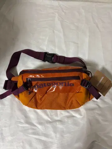 patagonia 파타고니아 블랙홀 웨이스트 팩 5L 데드스탁