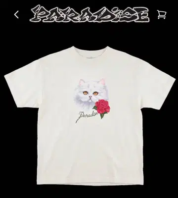 paradise nyc 신상