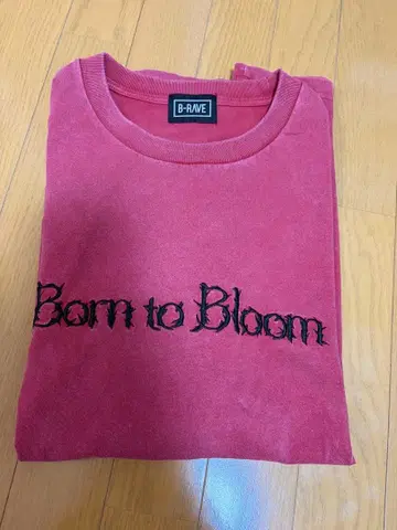 HANA Born to Bloom 티셔츠 M 사이즈 & 타월 세트
