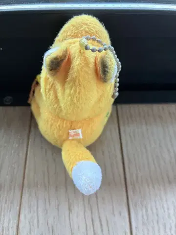 여우 몽치치