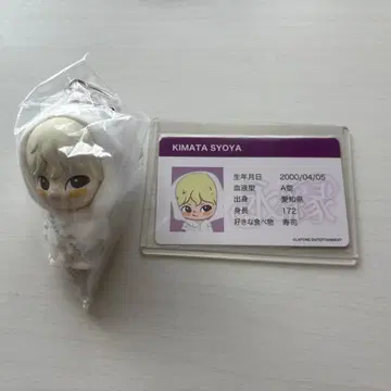 JO1 키마타 쇼야 쁘띠제오 영연 멘프로