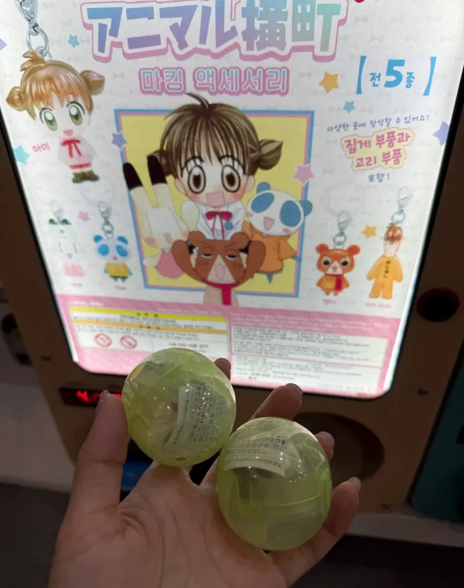 두근두근 비밀친구 메지루시 가챠(아미,켄타)
