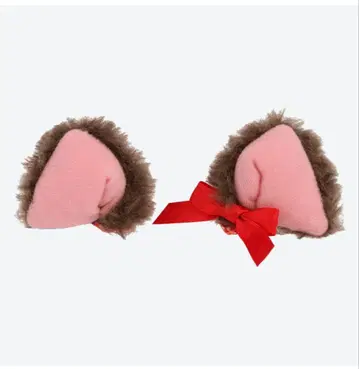 베를리오즈 패친