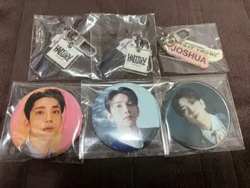 SEVENTEEN 조슈아 아크링 키링 캔뱃지
