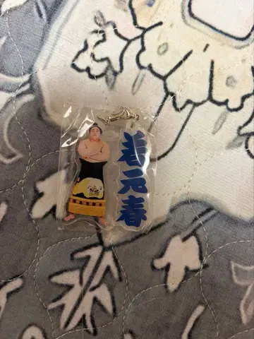 스모 가챠 메지루시 참 와카모토하루