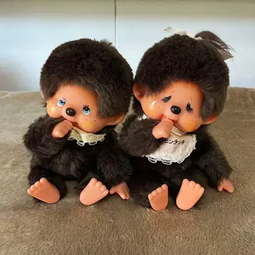 쌍둥이 몬치치 블루 아이 세키구치