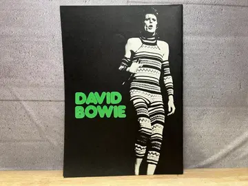 레어 / DAVID BOWIE 첫 일본 방문 공식 프로모션 팸플릿 1973년