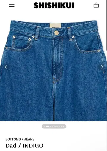 SHISHIKUI Dad / INDIGO 34