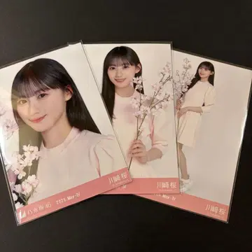 노기자카46 생사진 벚꽃 컬러 코디 3종 컴프 카와사키 벚꽃