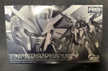 RG 1/144 스트라이크 프리덤 건담 디액티브 모드 새상품 미조립