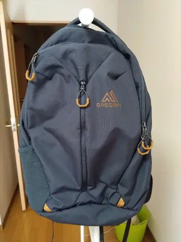 GREGORY RHUNE 20L 백팩