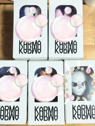 straykids 스키즈 KARMA SKZOO 지니렛 현진