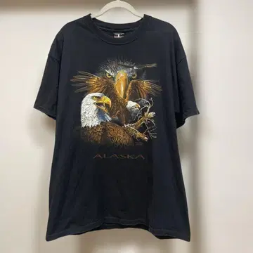 초레어 90s Hanes BEEFY-T ALASKA 이글 티셔츠