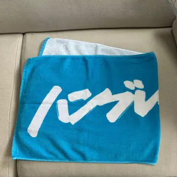 햄브레더즈 타월