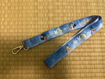 상하이 디즈니랜드 10주년 기념 넥스트랩