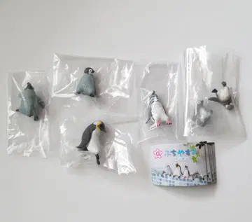 후치야스미 펭귄 전 5종 컴플리트
