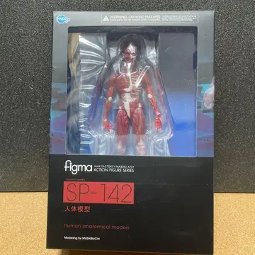 figma 테이블 미술관 SP-142 [인체 모형] 미개봉품