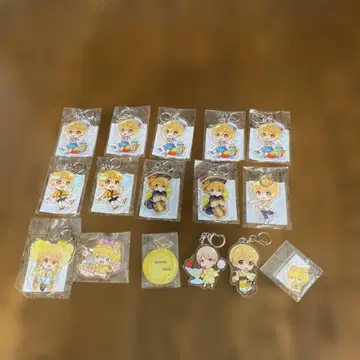 스토푸리 루토군 아크릴 키링 15개