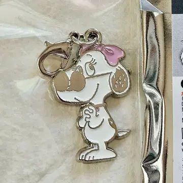 PEANUTS 스누피 시크릿 메탈 키참