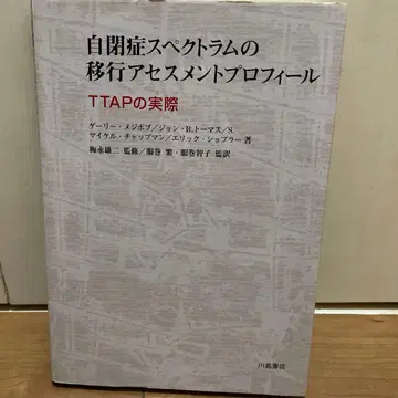 자폐 스펙트럼 전환 평가 프로필