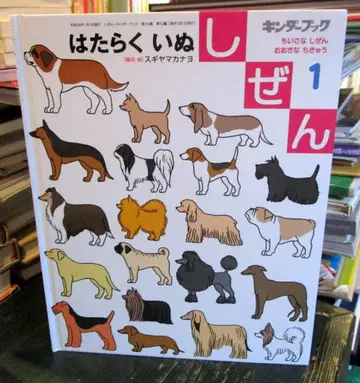 일하는 강아지 자연 킨더북